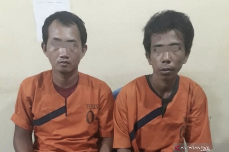 Polsek Peranap Inhu ringkus dua pengedar sabu sembunyi di gubuk sepi