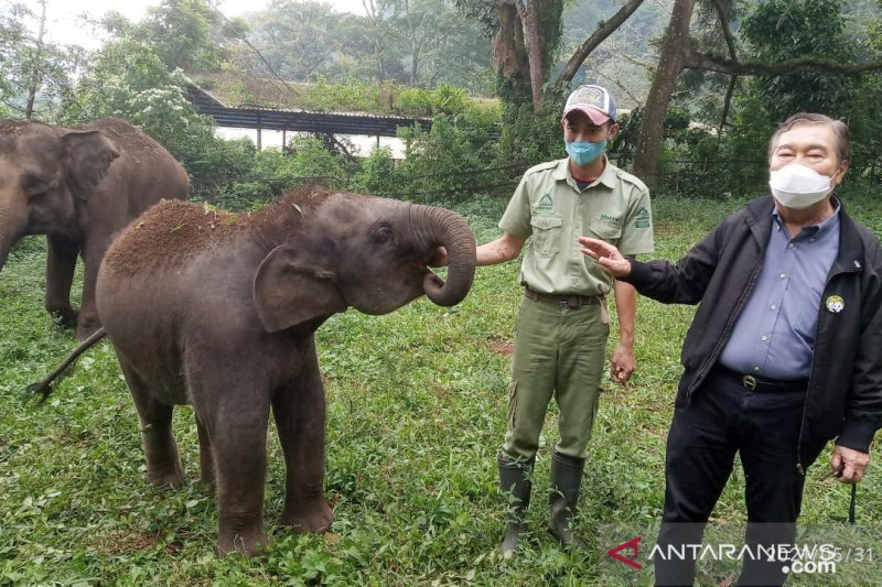 Taman Safari Bogor mampu lahirkan 275 satwa di tengah pandemi