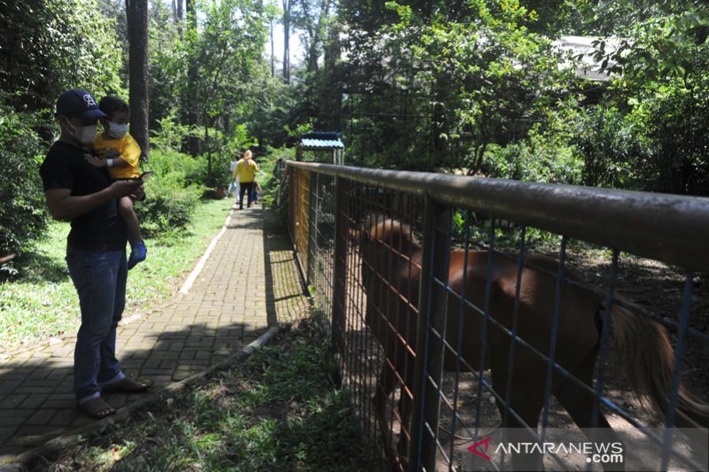 TEMPAT WISATA DI PALEMBANG BUKA KEMBALI