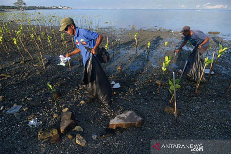 Aksi Gotong Royong Bersihkan Pantai