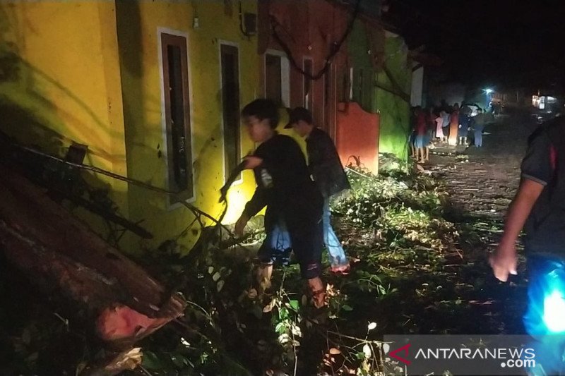 Hujan deras - angin kencang akibatkan pohon tumbang merusak rumah