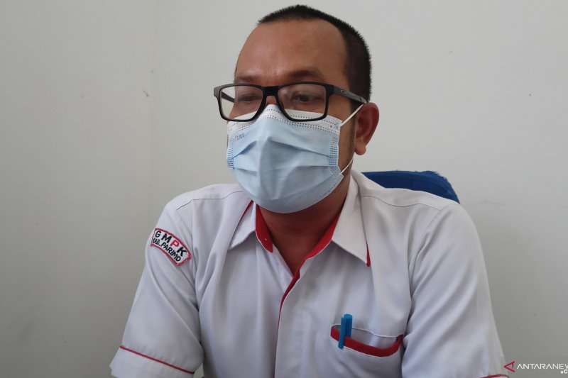 Kementan alokasikan bibit porang untuk lahan 25 ha di Parigi Moutong