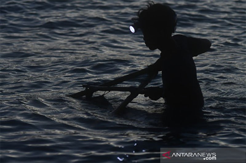 Nelayan Udang Kecil di Palu