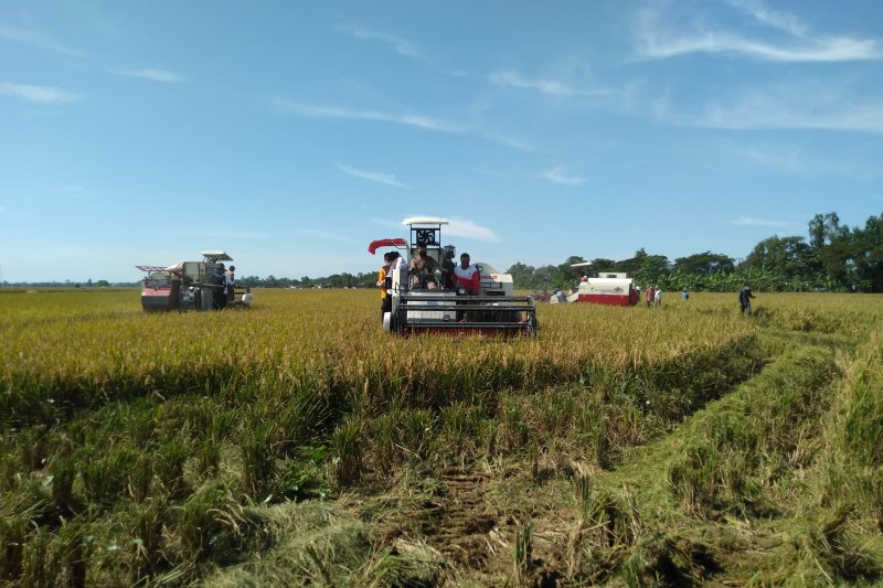 Puluhan kelompok tani Karawang dapat bantuan alsintan