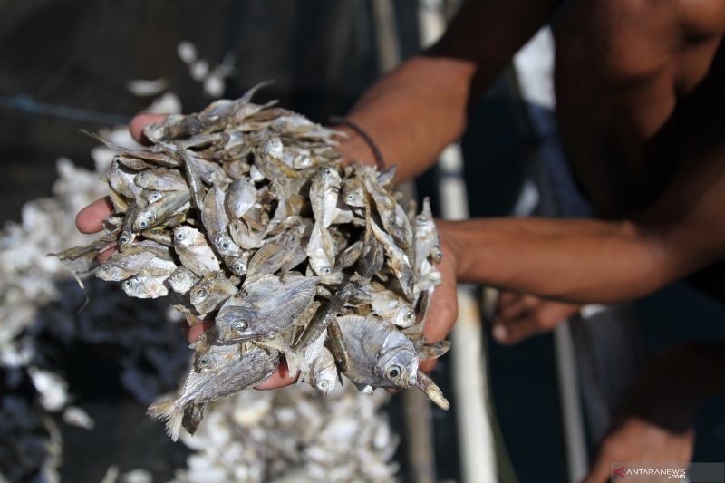 TANGKAPAN IKAN NELAYAN DISEKITAR LOKASI PERTAMBANGAN NIKEL