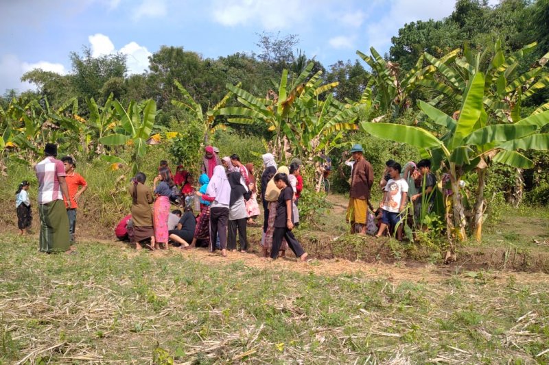 Heboh, tiba-tiba muncul sumber air di tengah sawah di Lombok Tengah