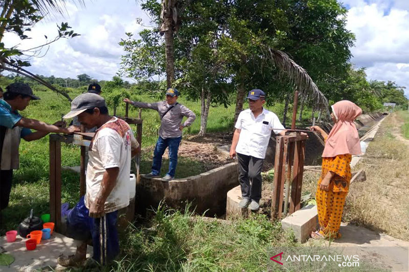 Tingkatkan produksi padi, Pemkab Barut perbaiki jaringan irigasi persawahan