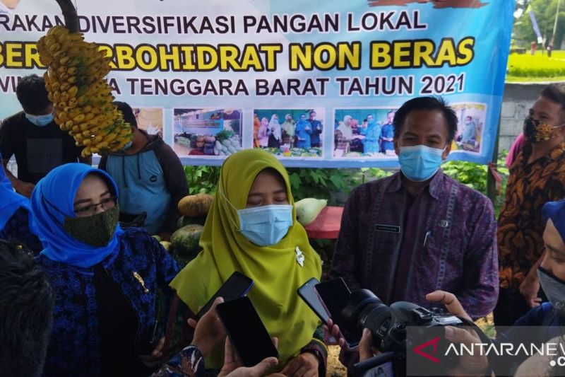 NTB mengkampanyekan diversifikasi pangan lokal pengganti nasi