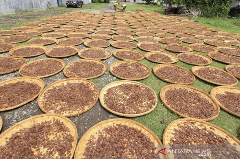 Pemkab Indramayu usulkan 14.157 pelaku UMKM dapatkan BPUM