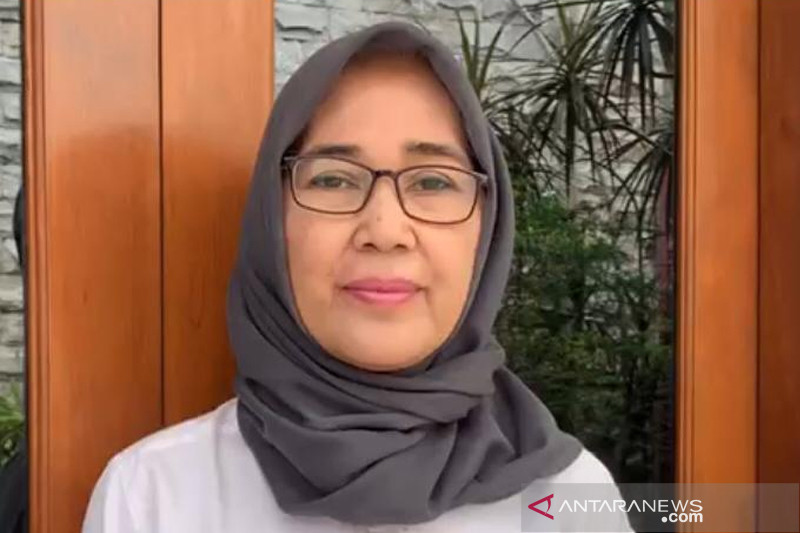 Institut Sarinah apresiasi dukungan Jokowi terhadap RUU PPRT