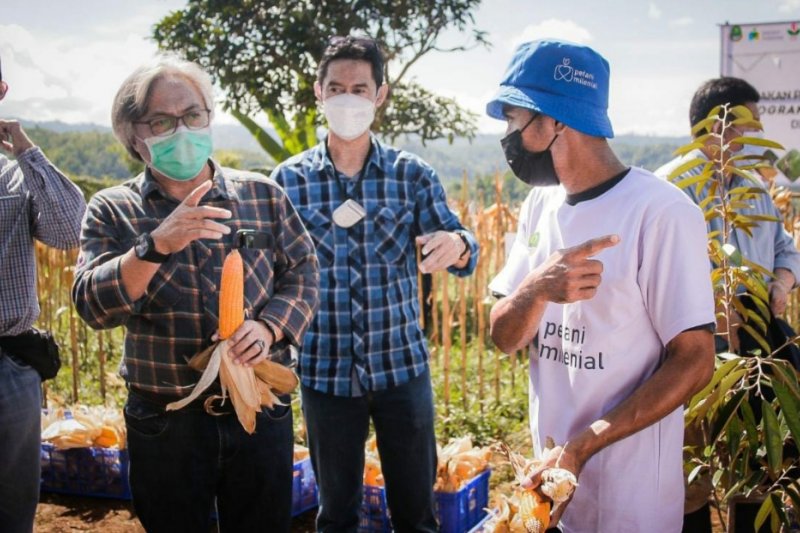 Petani milenial Jawa Barat panen jagung hibrida