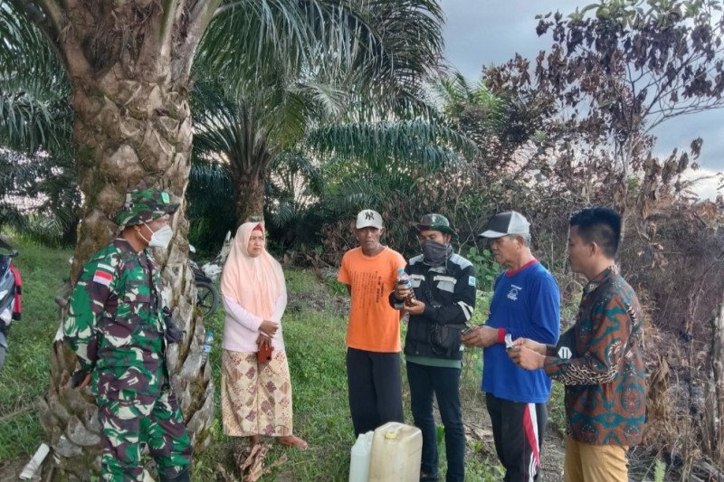 Satgas Pamtas bantu kemajuan dunia pendidikan-pertanian di perbatasan - Vimarsana News