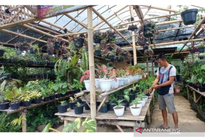 Pedagang bunga di Cianjur alami penurunan penjualan tiga bulan terakhir