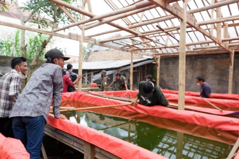 Ciptakan lapangan kerja, Pertamina gelar pelatihan budidaya ikan lele di Tasikmalaya