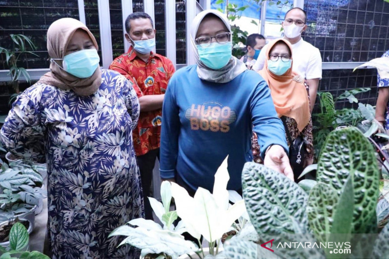 Pemkab Bogor genjot geliat ekonomi melalui pertanian