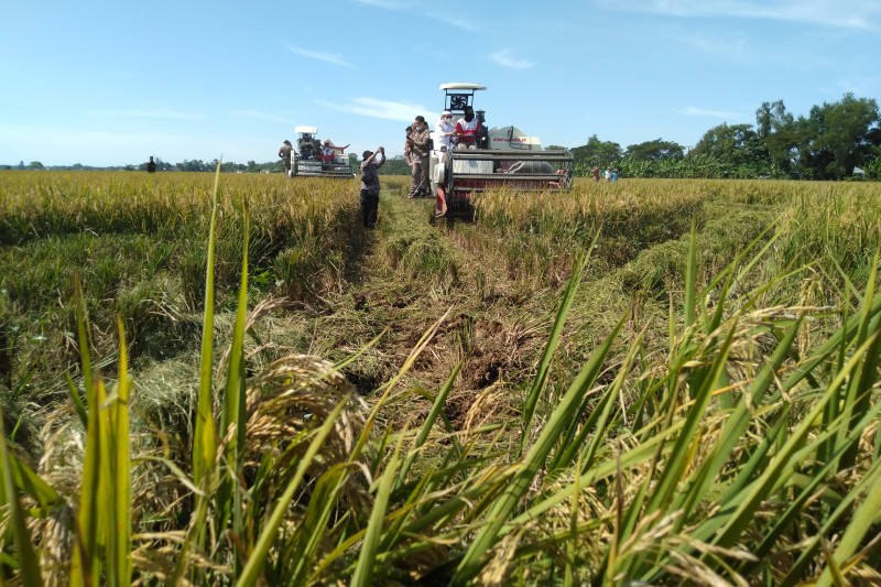 Wabup Karawang minta Bulog serap gabah petani