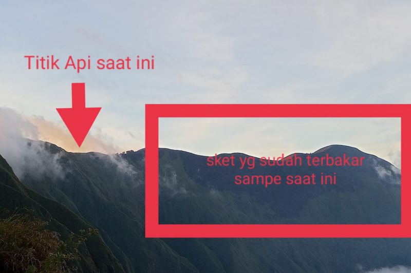 Diduga pemburu burung bakar sampah, puluhan hektare Hutan Sambelia terbakar
