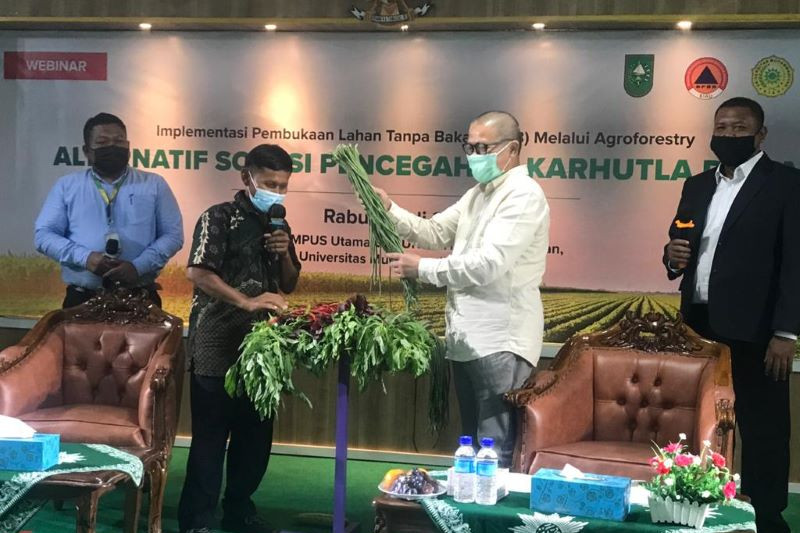 Tekun Bertani Pola Agroforestry Herman Kini Nikmati Hasil Berlimpah Antara News