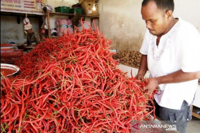 Harga cabai di pasar Karawang merangkak naik