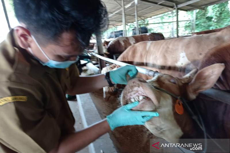 Pemkab Garut siapkan rumah potong hewan kurban Idul Adha, ini alasannya