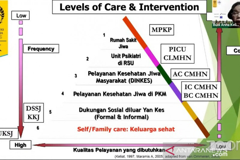 UI sebut kesehatan jiwa perlu kebijakan lintas sektoral