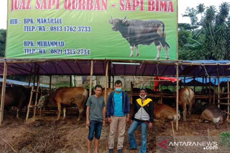 Penjualan hewan kurban di Kota Depok menurun