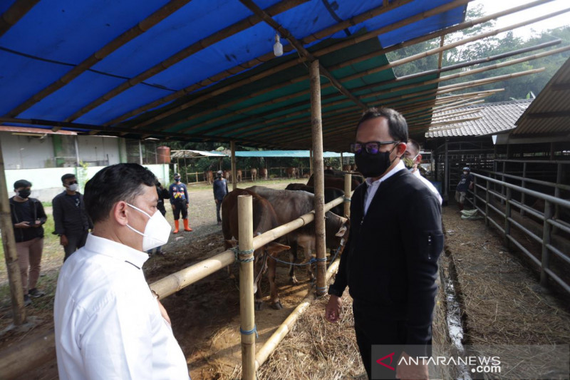 DKPP awasi setiap hewan kurban masuk ke Kota Bogor jelang Idul Adha