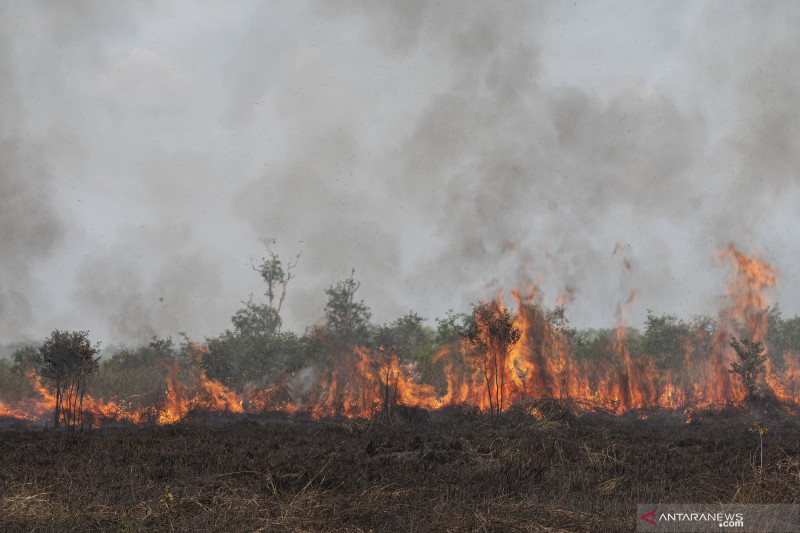 Ratusan Lahan di Indralaya Utara Terbakar