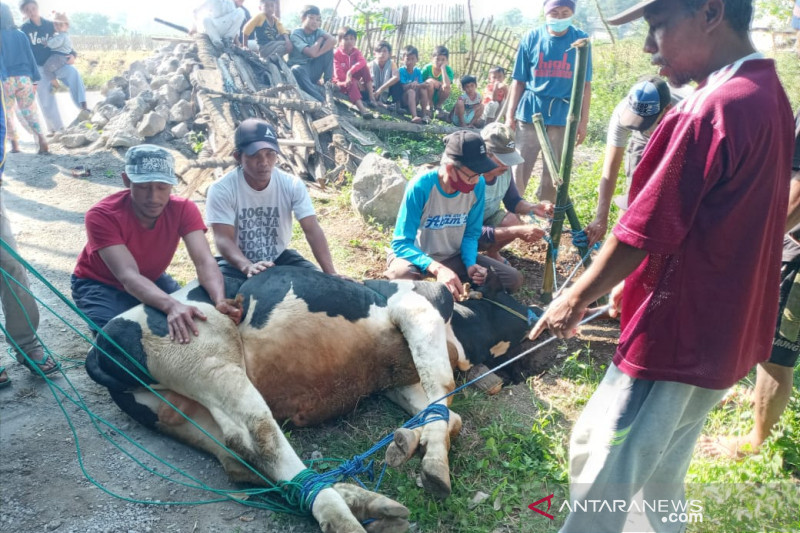 Petugas diterjunkan untuk pastikan daging kurban di Garut sehat dan aman