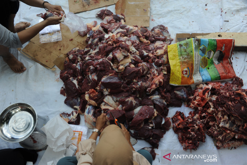 Sekolah lakukan pemotongan kurban dengan protokol kesehatan