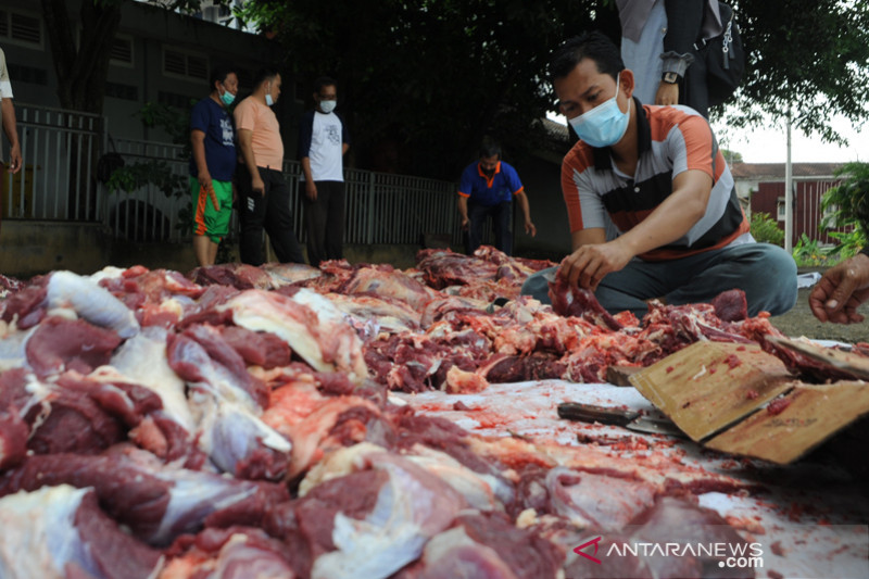 Sekolah lakukan pemotongan kurban dengan protokol kesehatan