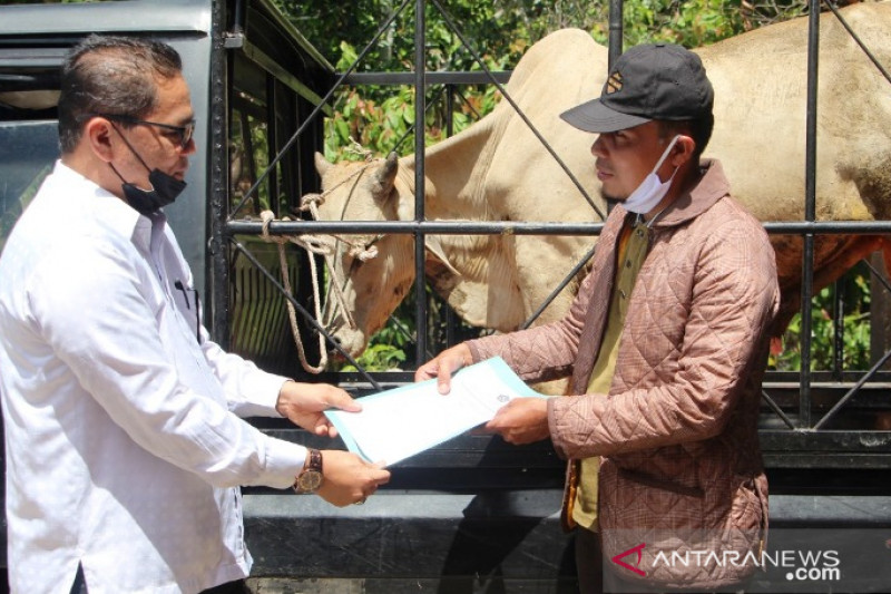 Kemenag Pasaman bantu hewan kurban masyarakat terpencil