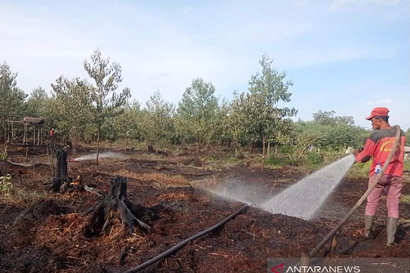 Tim RPK Arara Abadi-masyarakat padamkan karhutla di Meranti