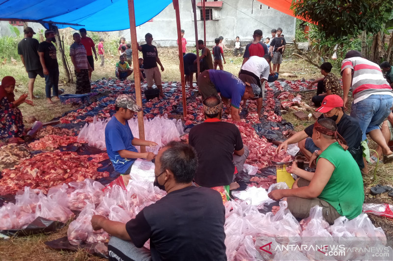 Ini cara mengolah daging kurban yang sehat, menurut ahli gizi SPH