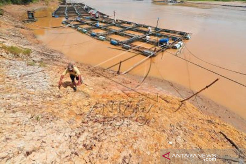 Ancaman Abrasi Sungai Batanghari