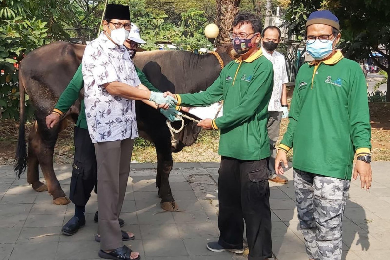 Peruri salurkan bantuan hewan kurban untuk masyarakat Karawang