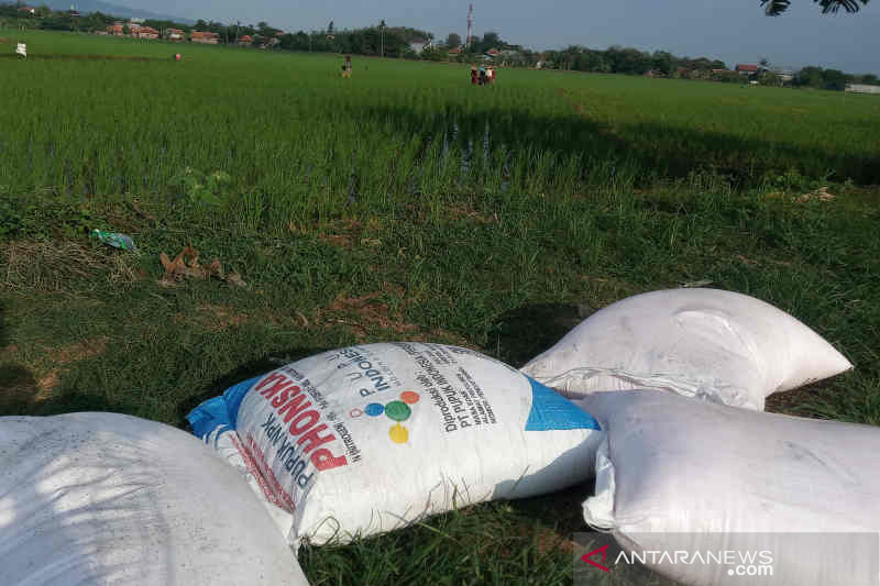 Pemkab Kuningan bantu benih dan pupuk ke petani terdampak pandemi