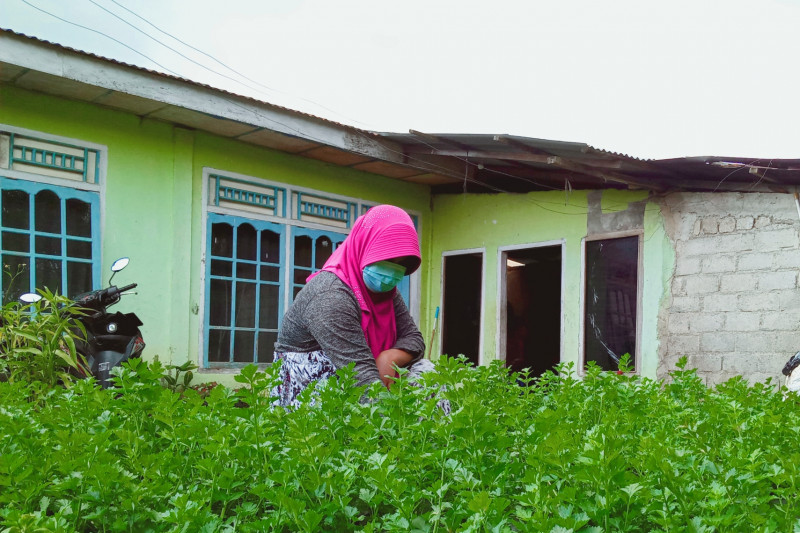 Mendorong masyarakat manfaatkan pekarangan dengan tanami sayuran jadi sumber ekonomi