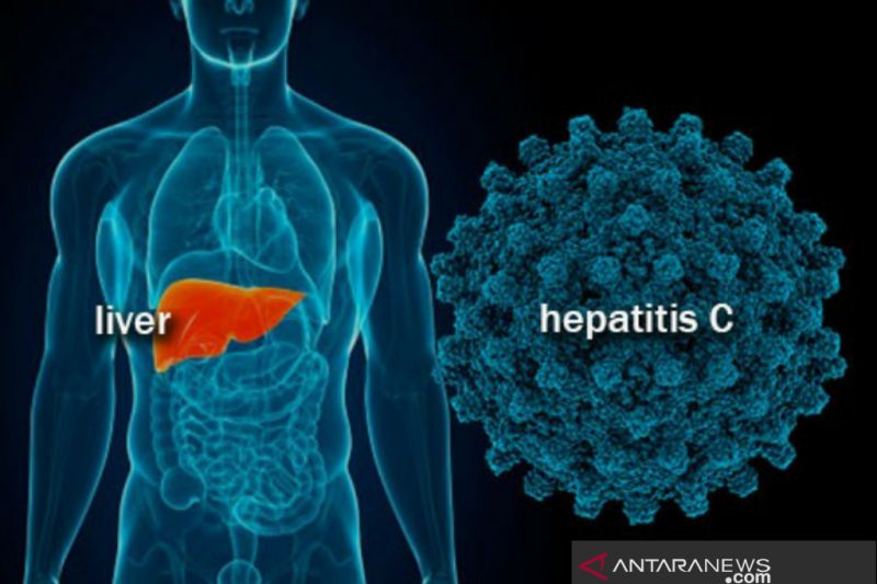 Pemkot Bogor laksanakan sejumlah program penanganan hepatitis