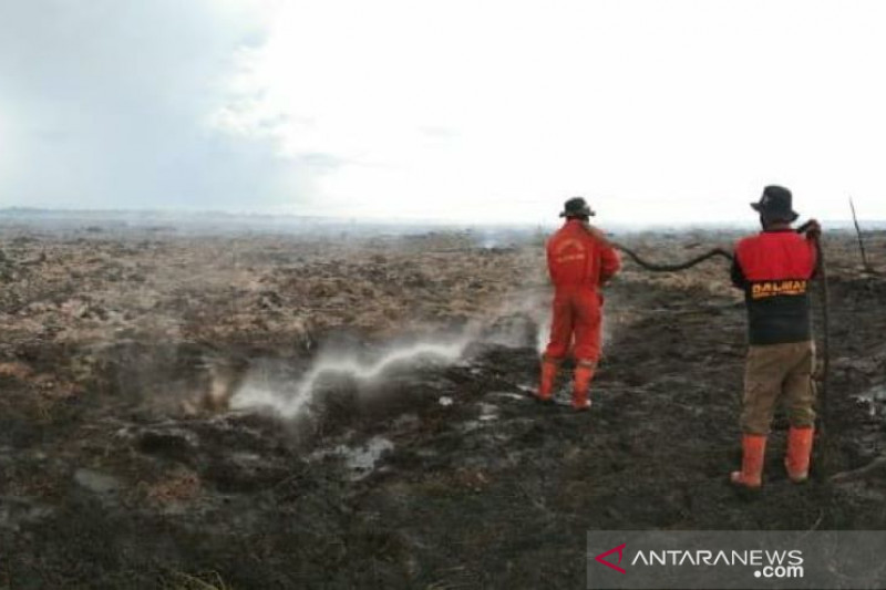 Wah, 148 titik panas terpantau di Riau