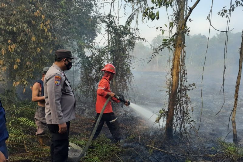 Pemkab Siak dan CIFOR riset aksi partisipatif cegah karhutla