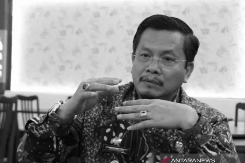 Jika kurva COVID-19 di Kepri landai maka pilkades tak tertunda