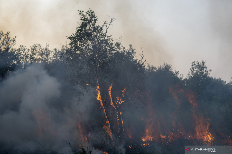 PEMADAMAN KEBAKARAN LAHAN DI PULAU SEMAMBU