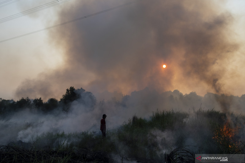 PEMADAMAN KEBAKARAN LAHAN DI PULAU SEMAMBU