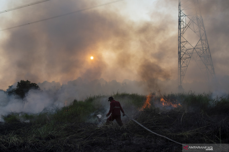 PEMADAMAN KEBAKARAN LAHAN DI PULAU SEMAMBU