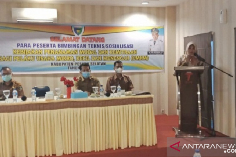 Dinas Penanaman Modal gelar sosialisasi kemitraan bagi UMKM
