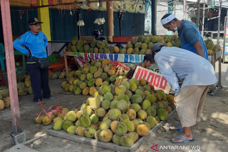 Kalbar ekspor durian setiap dua bulan sekali 53 ton ke China