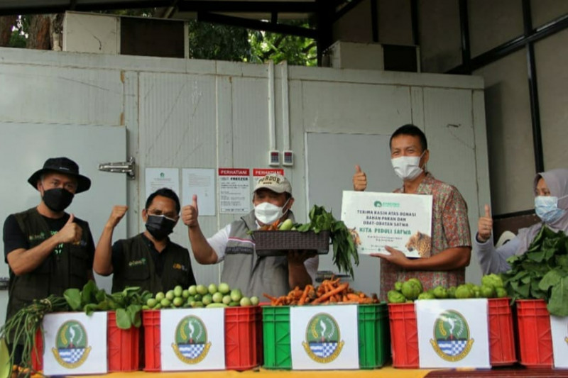 Dinas Kehutanan Jawa Barat beri bantuan pakan satwa Kebun Binatang Bandung