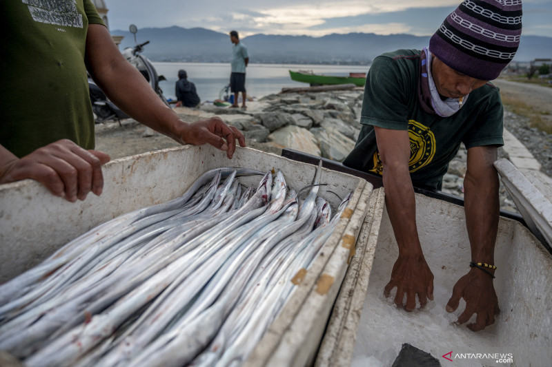 KKP rintis Kampung Ikan Dewa di Sumedang Jawa Barat