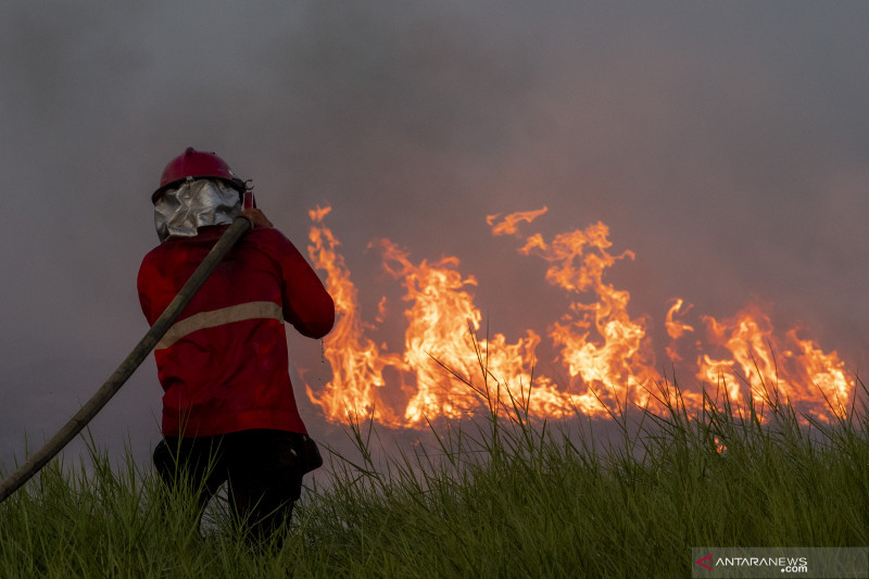 Pemadaman Kebakaran Lahan di Desa Rawa Jaya Pemulutan